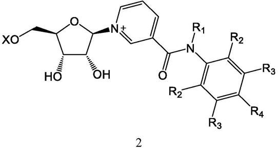 用于烟酰胺腺嘌呤二核苷酸的差分调节的化合物和组合物的制作方法