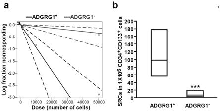 ADGRG1作为生物标志物在制备检测造血干细胞体外扩增效率试剂盒中的应用