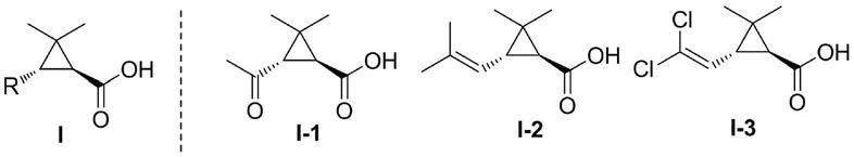 一种反式左旋菊酸的消旋化方法