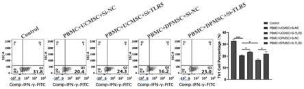 一种自身蛋白与间充质干细胞Th1免疫调节相关性的评估方法与流程