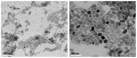 一种羟基磷灰石负载的四氧化三铁纳米材料及其制备方法和应用