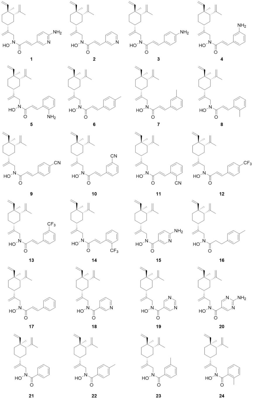 一种含N-OH键的β-榄香烯衍生物及其制备方法和应用