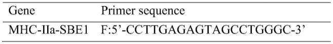 MHC-IIa基因调控位点及突变体及其应用的制作方法