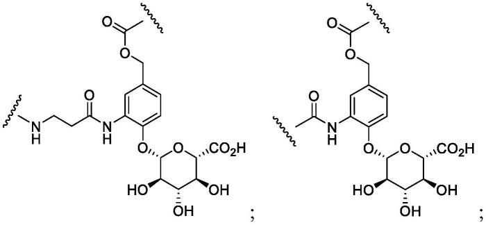 氨基苯并氮呯化合物、免疫缀合物及其用途的制作方法