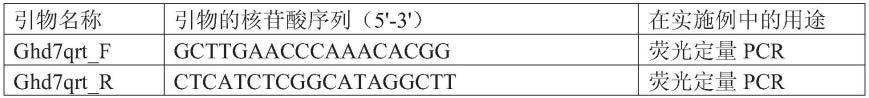 蛋白质Ghd7在调控植物抗低氮性中的应用