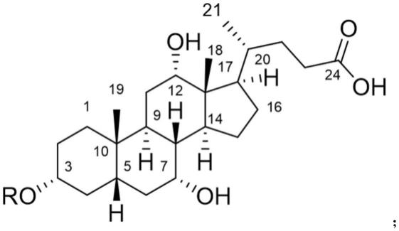 胆酸衍生物及其制备方法