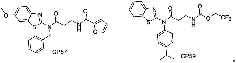 苯并噻唑类化合物，其药物组合物、制备方法和应用与流程