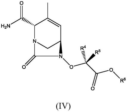 β-内酰胺酶抑制剂化合物的制作方法