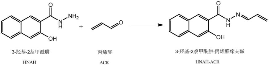 3-羟基-2萘甲酰肼-丙烯醛席夫碱及其合成和用途
