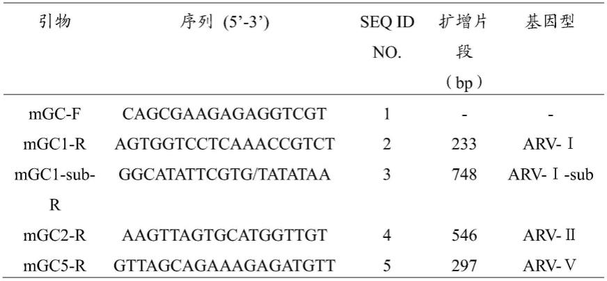 一种用于检测或区分禽呼肠孤病毒4种不同基因型的多重PCR试剂盒及其应用