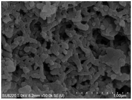 铜-含氮导电聚合物-植酸复合光催化剂及其制法与应用