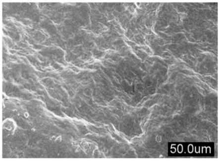 单宁酸功能化碳纳米管/石墨烯复合水凝胶的制备方法