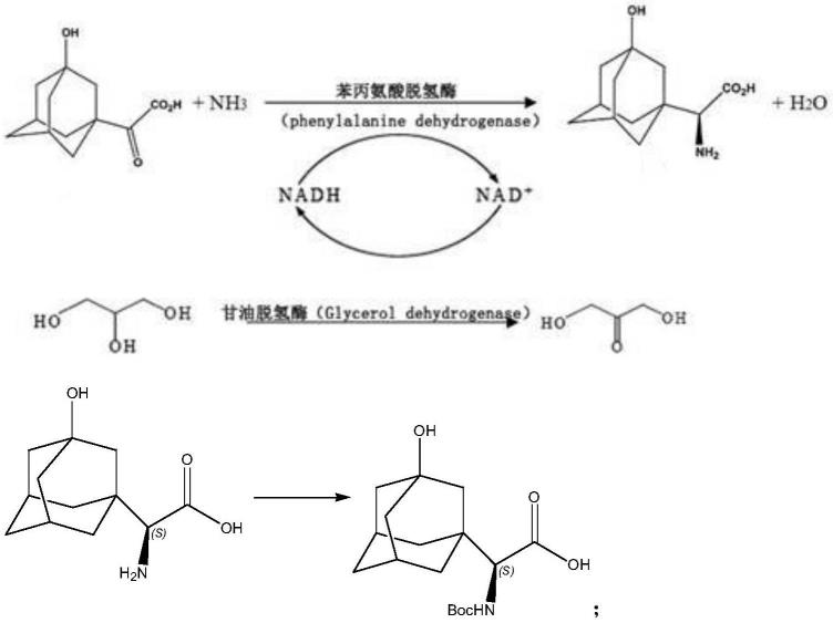 3-羟基-1-金刚烷甲基酮的制备方法及合成沙格列汀的方法与流程