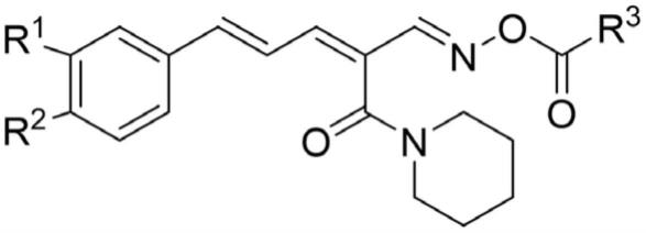 一种胡椒碱肟酯类衍生物、制备及应用