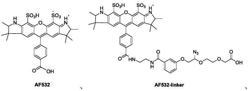 琥珀酰亚胺酯及其制备、处理和检测方法与流程