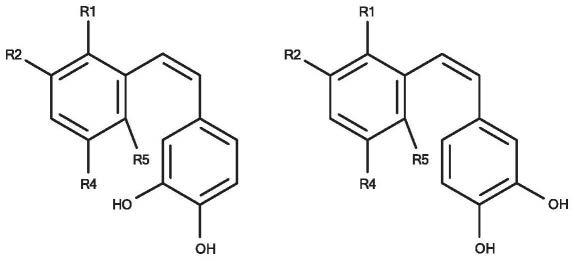 Z-茋AMPK活化剂化合物、组合物、方法及其用途与流程