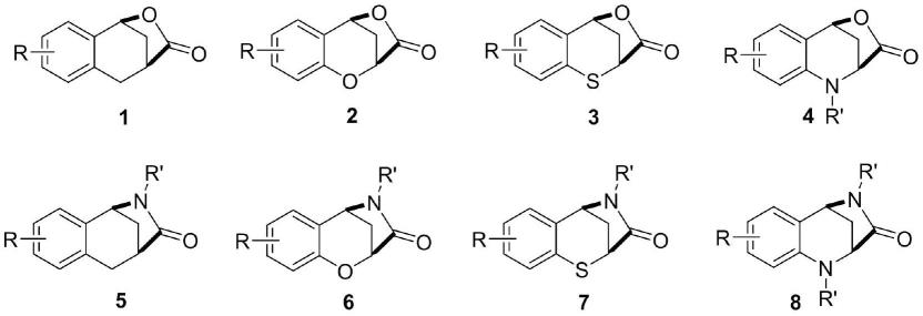 一类[3.2.1]桥环内酯及内酰胺类化合物及其衍生物及制备方法