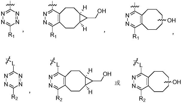 萘二甲酰亚胺-四嗪类化合物及其制备方法与应用