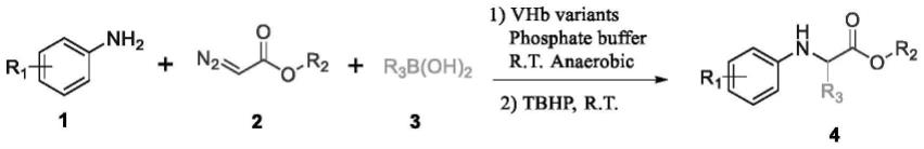 一种双功能血红素蛋白催化非天然氨基酸衍生物的方法
