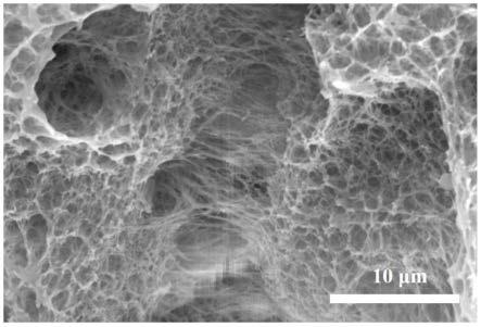 聚丙烯酸/氮硫共掺杂石墨烯互穿网络聚合物水凝胶的制备方法及其用途