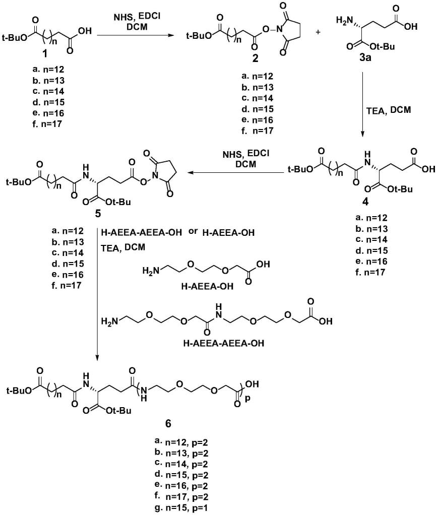 一种多肽侧链类似物的制备方法及其应用与流程