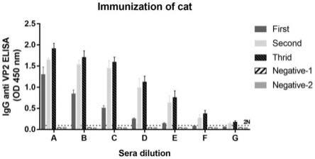 猫细小病毒VP2蛋白及所得自主组装病毒样颗粒的制作方法