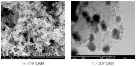 纳米零价铁碳陶粒及其制备方法和在处理废水中的应用与流程