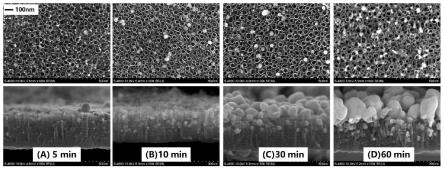 一种在二氧化钛纳米管阵列表面沉积纳米金的方法