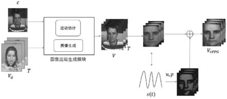一种基于人脸视频的非接触式心率检测装置和方法与流程