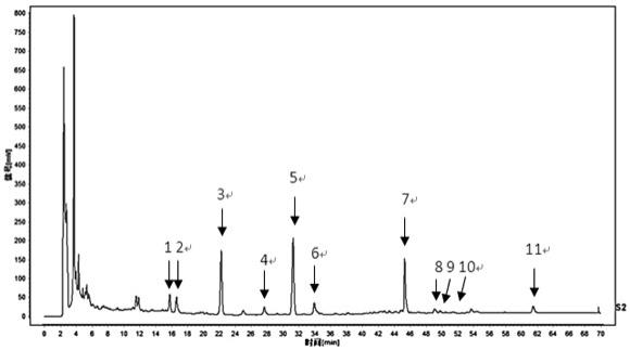 一种北柴胡皂苷类成分HPLC指纹图谱的构建方法和应用