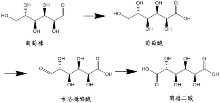 用于制备醛糖二酸、醛糖酸和糖醛酸的方法与流程