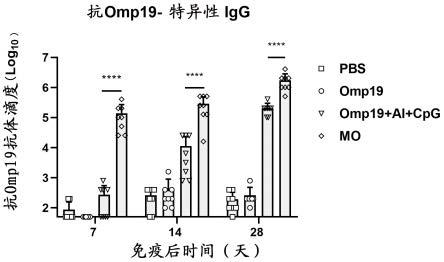 金属硫蛋白3与Omp19融合的重组蛋白及其应用