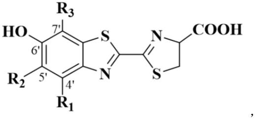 荧光素衍生物及其合成方法与流程