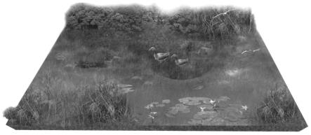 一种湿地雁形目鸭科鸟类栖息地恢复方法