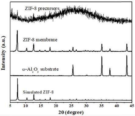 一种ZIF-8膜及其喷涂制备方法与应用