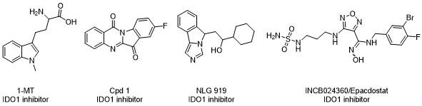 具有IDO1/TDO抑制活性的小檗碱衍生物的制备及用途