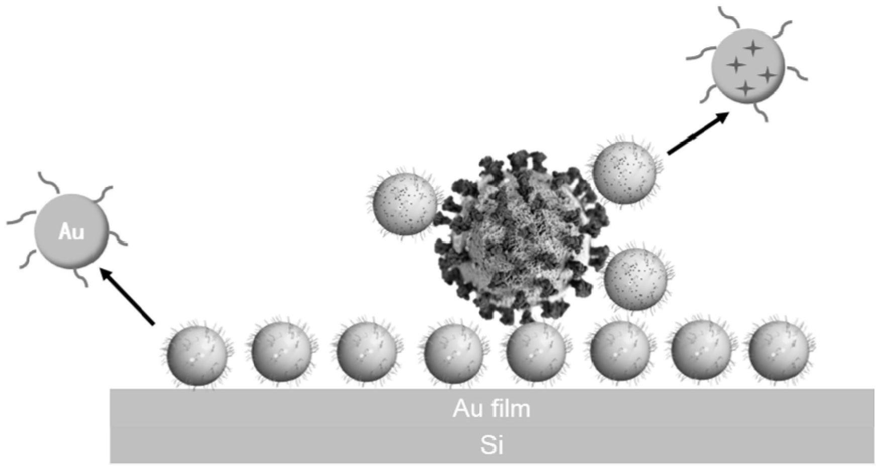一种二维平面结合SERS检测新冠病毒SARS-CoV-2抗原的方法
