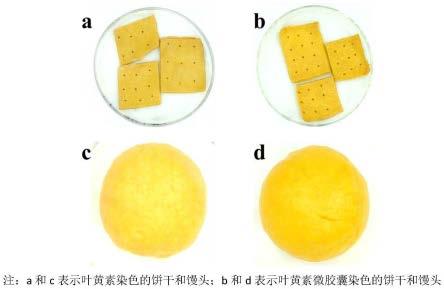 一种提高叶黄素稳定性的微胶囊制备方法及其在食品中的应用