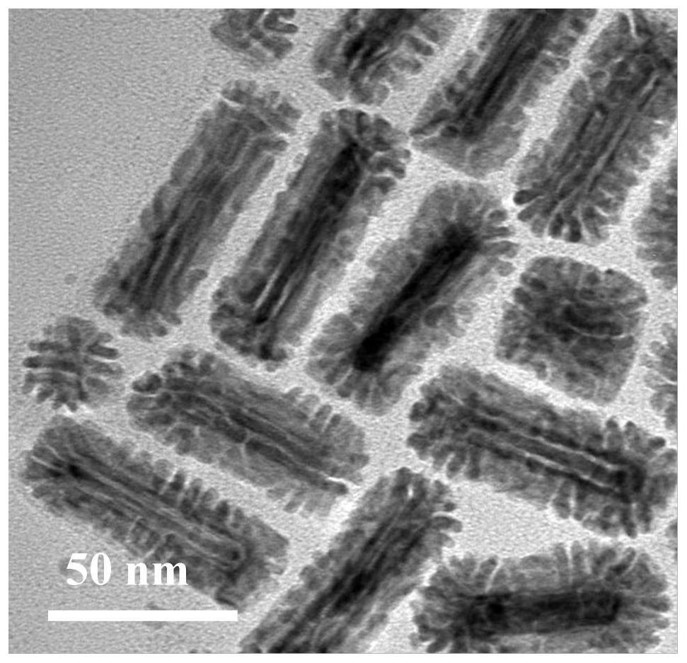 一种冠状金-钯纳米异质材料及其制备方法和应用