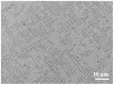 高塑性高强Ti-Mo-Al-Nb-V系β钛合金、热处理工艺