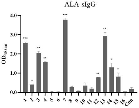 牛乳乳清主要过敏原α-乳白蛋白的IgG结合表位的制作方法