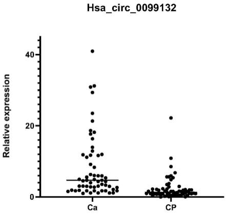 检测hsa_circ_0099132的试剂在制备人结直肠癌辅助诊断试剂盒中的应用的制作方法