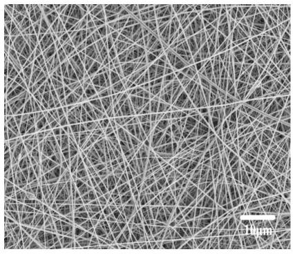 一种皮-芯结构静电纺纳米纤维的制备方法