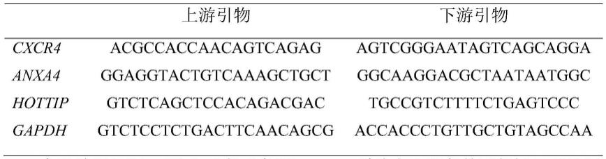 基于光控型CRISPR/Cas13d基因编辑系统的基因编辑方法、组合物及应用与流程