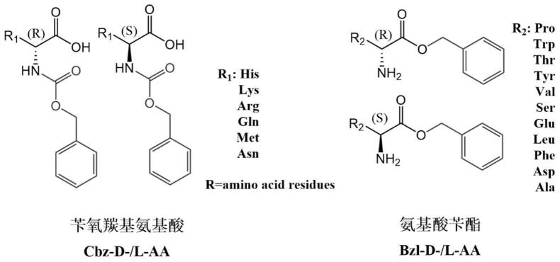 基于纳他霉素的氨基酸衍生物对映体结构的分析方法