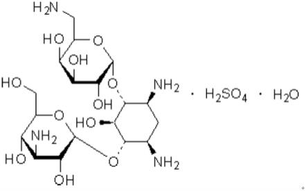 制备单硫酸卡那霉素单晶的方法及其用途与流程