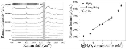 一种基于Au-Ag@二氧化锰纳米材料的双氧水的拉曼检测方法