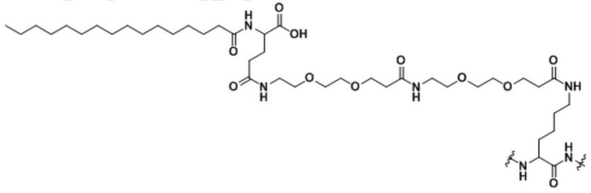 一种GCGR/GLP-1R双靶点激动多肽的合成方法与流程