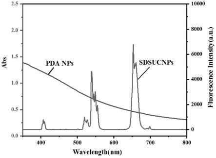 一种基于微球晶体团簇荧光体系快速检测水磨糯米粉中重金属离子的方法