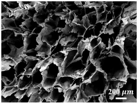 N、S共掺杂MXene/纤维素衍生碳气凝胶的制备方法